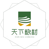 插我骚逼